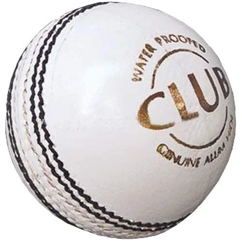 Leather Cricket Ball Test  Child Category Desk and Decor