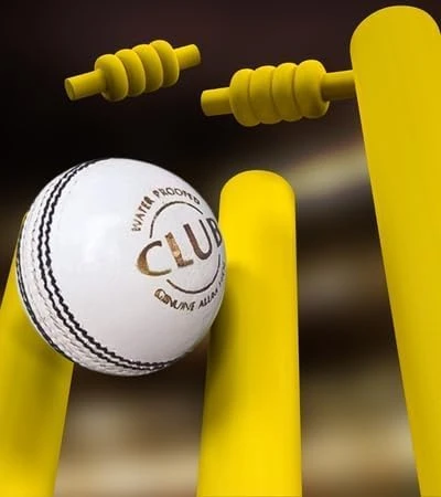 Leather Cricket Ball Test  Child Category Desk and Decor