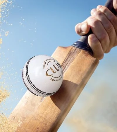 Leather Cricket Ball Test  Child Category Desk and Decor