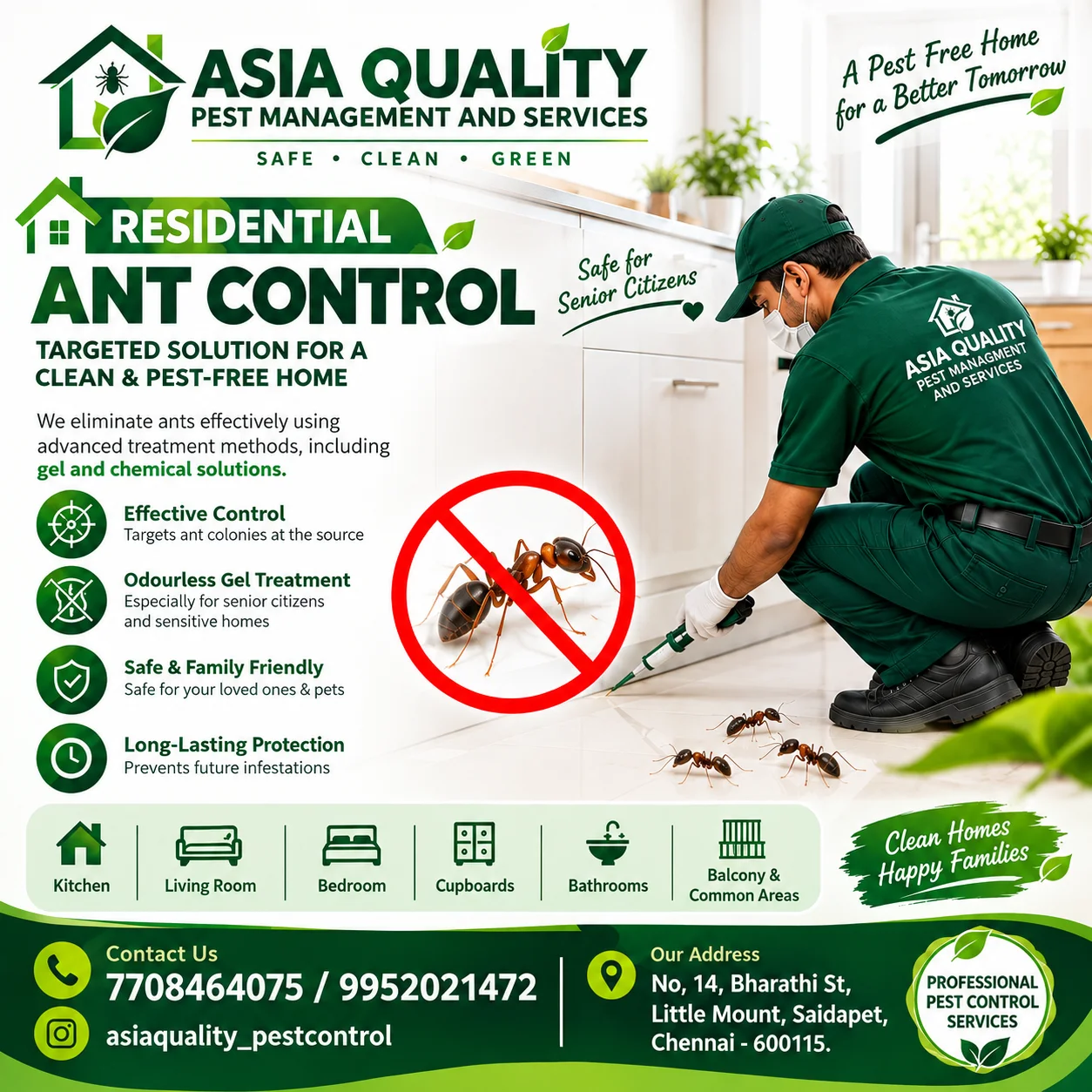 Residential Ant Control