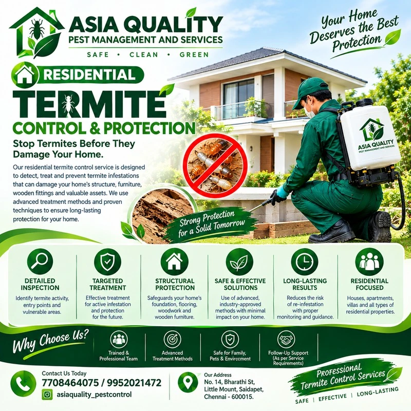 Residential Termite Control Service