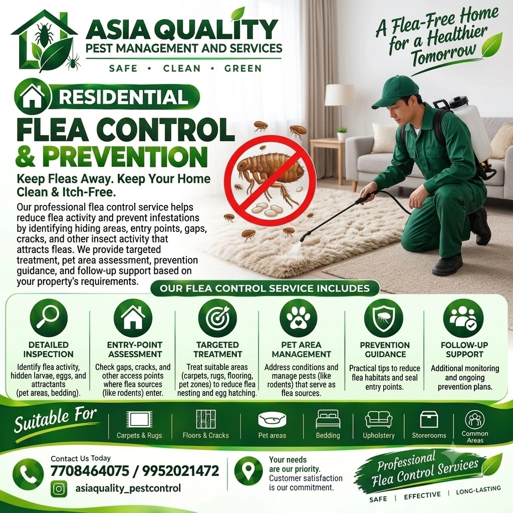Residential Flea Management Service