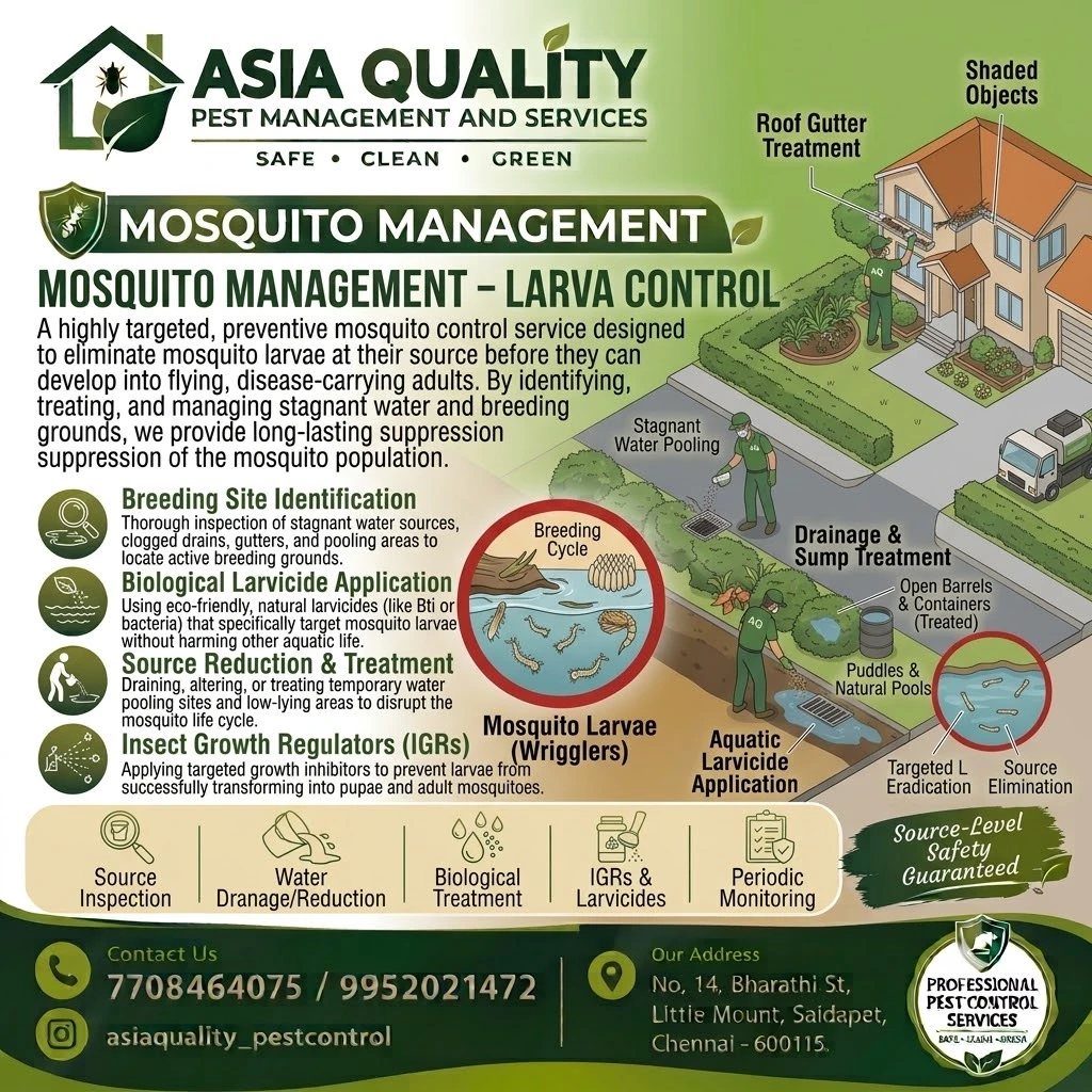 Mosquito Larva Control & Management