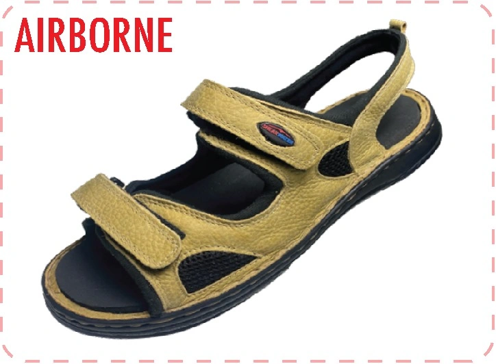 AIRBORNE
